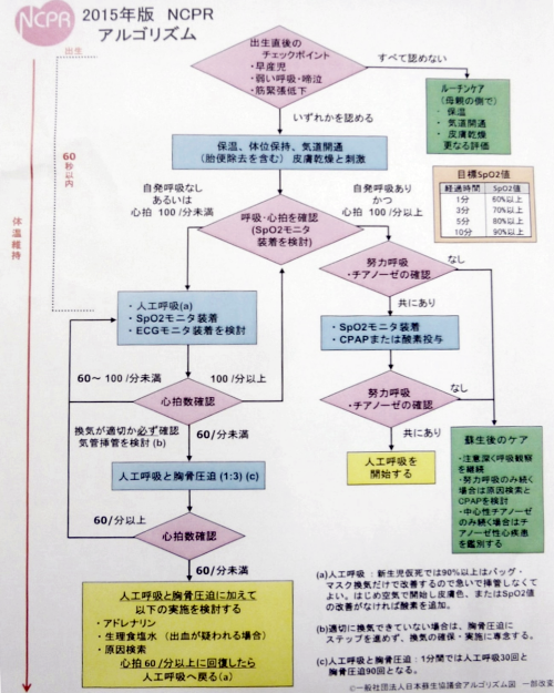 看護・新生児蘇生法(NCPR)講習会4-2