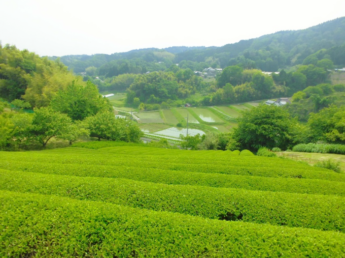 離島へき地医療体験学習（山添村）1-1