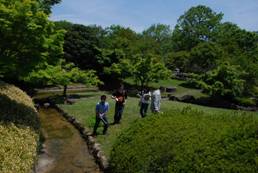 公園2.jpg