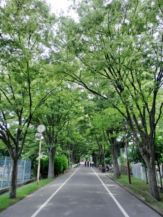 池田小学校1.jpg