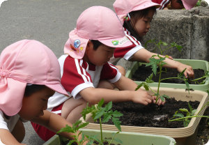 11凛々子01.jpg