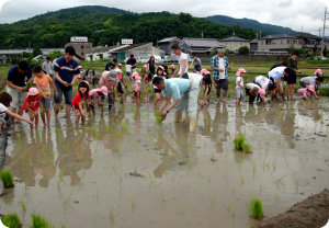 12日曜家族参観03.jpg