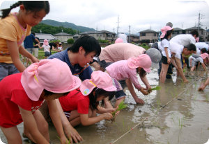 12日曜家族参観04.jpg