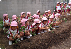 13さつまいも苗植え03.jpg