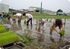 13田植え01.jpg