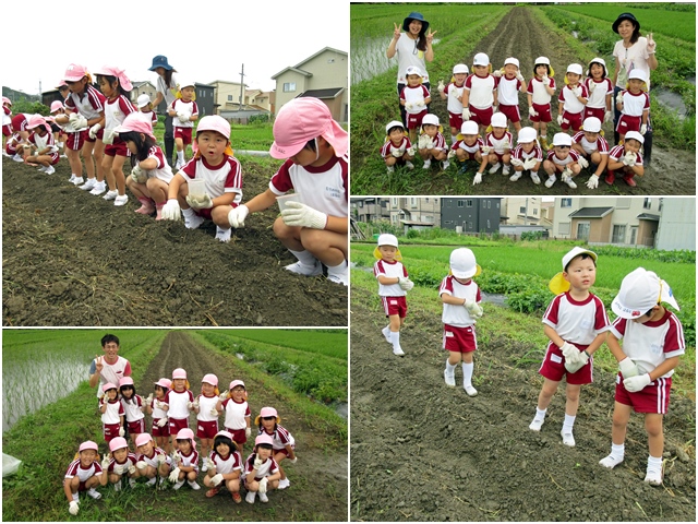 19daizu_ue01