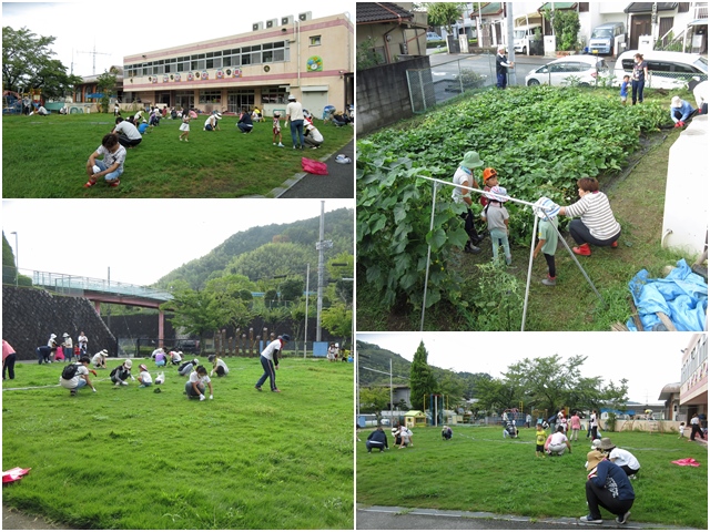 19seisohoushi01