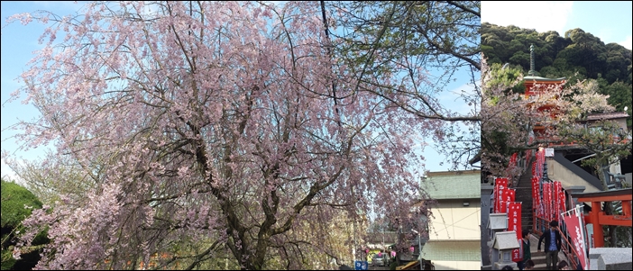 写真３