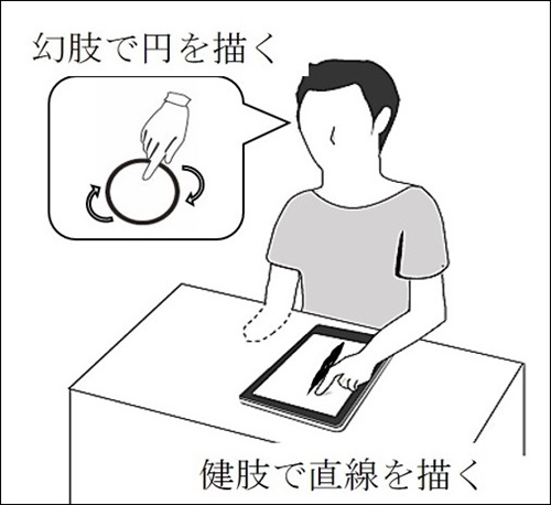 fig1osumi