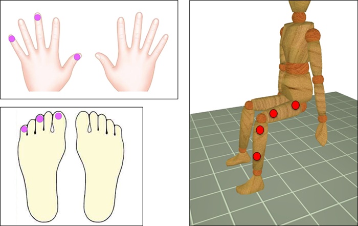 asano_fig1
