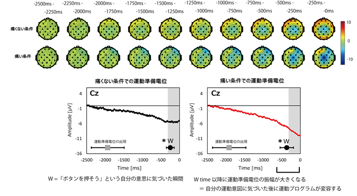fig.2