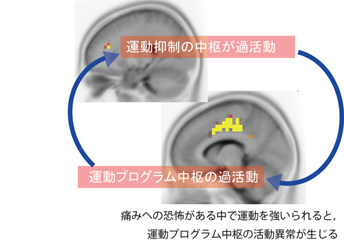 fig.3
