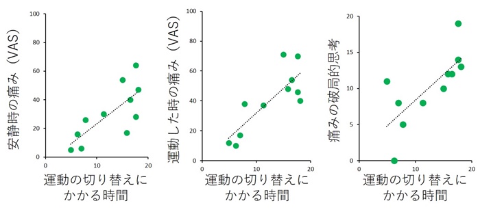 imai2 (002)