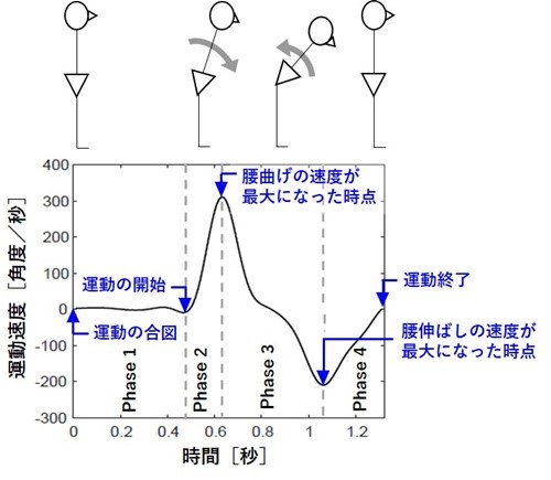 慢性腰痛者の運動恐怖は 腰の曲げ伸ばし動作を緩慢にさせる 畿央大学ニューロリハビリテーション研究センター トピックス 畿央大学