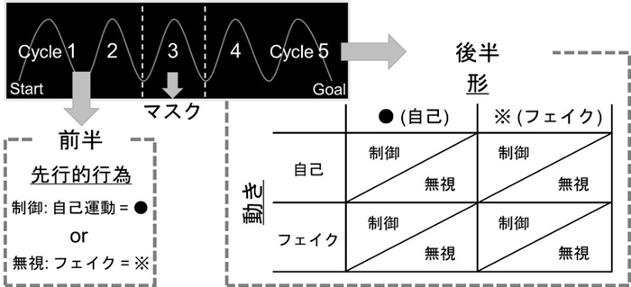fig.2