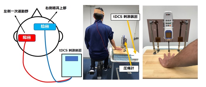 経頭蓋直流電気刺激（tDCS）と有酸素運動の組み合わせが鎮痛効果を早める